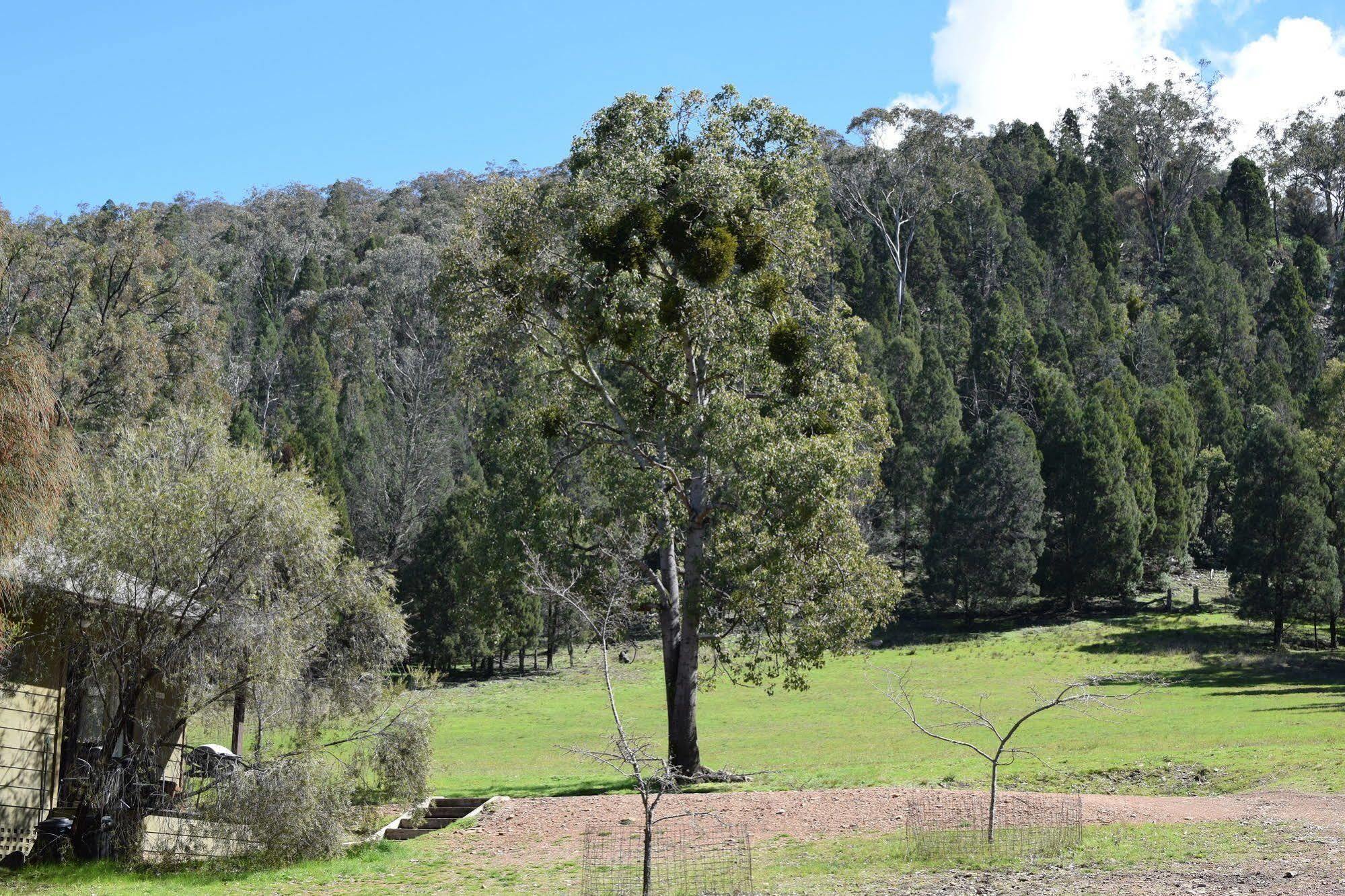 Kirima Cottages Mudgee Exterior foto