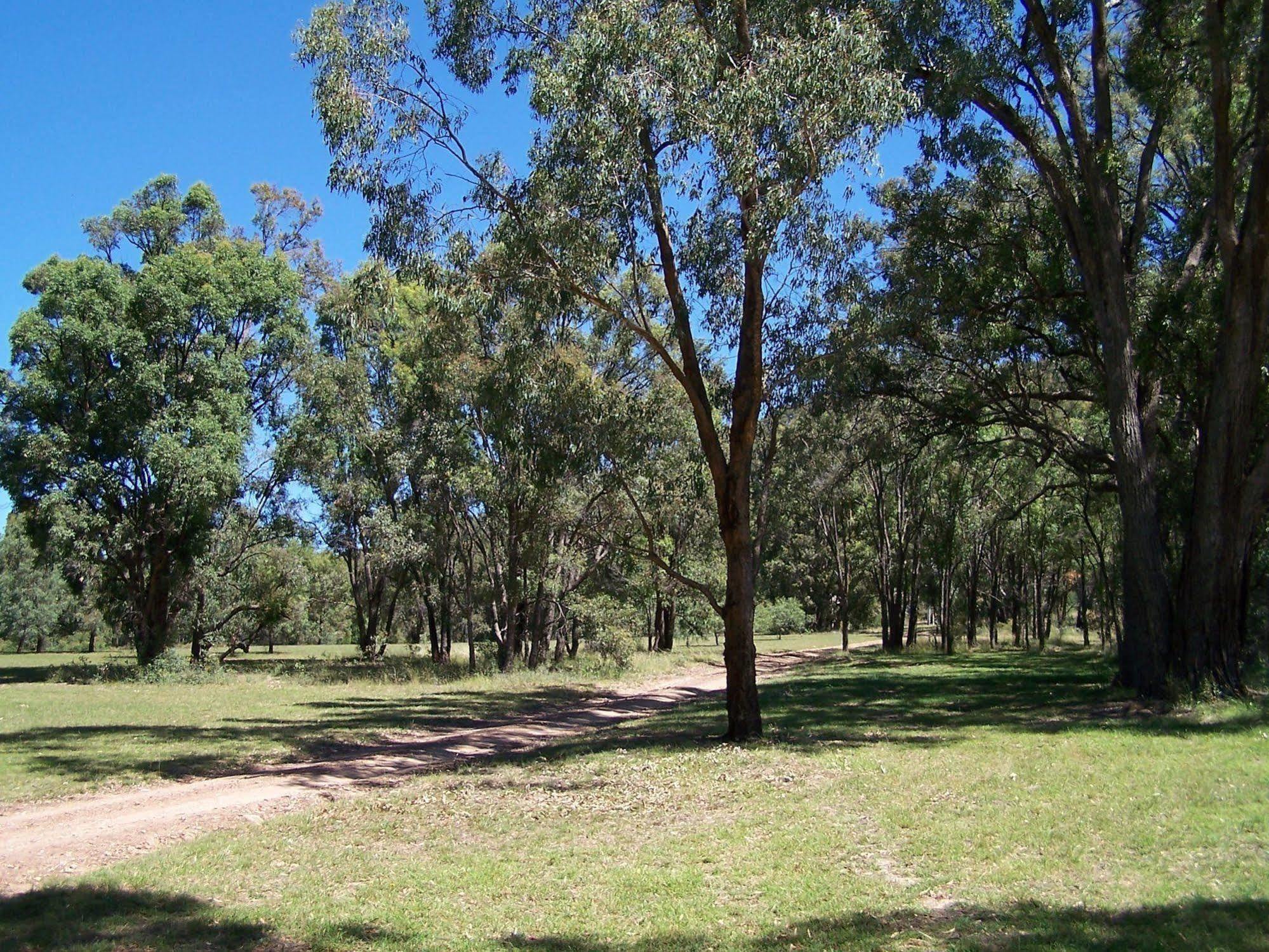 Kirima Cottages Mudgee Exterior foto